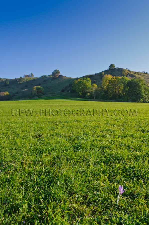 Hilly Landscape in autumn, against blue Sky- Stock Image