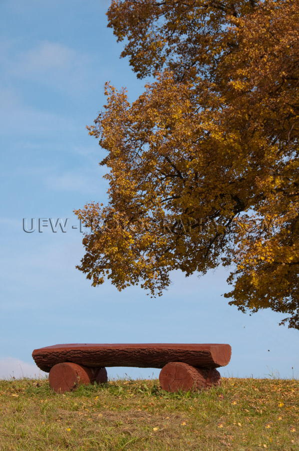 Maroon colored log bench under an idyllic autumnal lime tree Sto