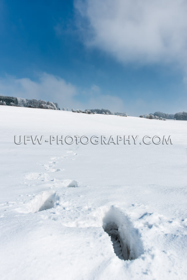 Winter snow landscape sunny footsteps trees blue cloudy sky Stoc