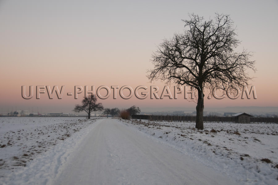 Beautiful winter scene snowy country track tree orange sunset su