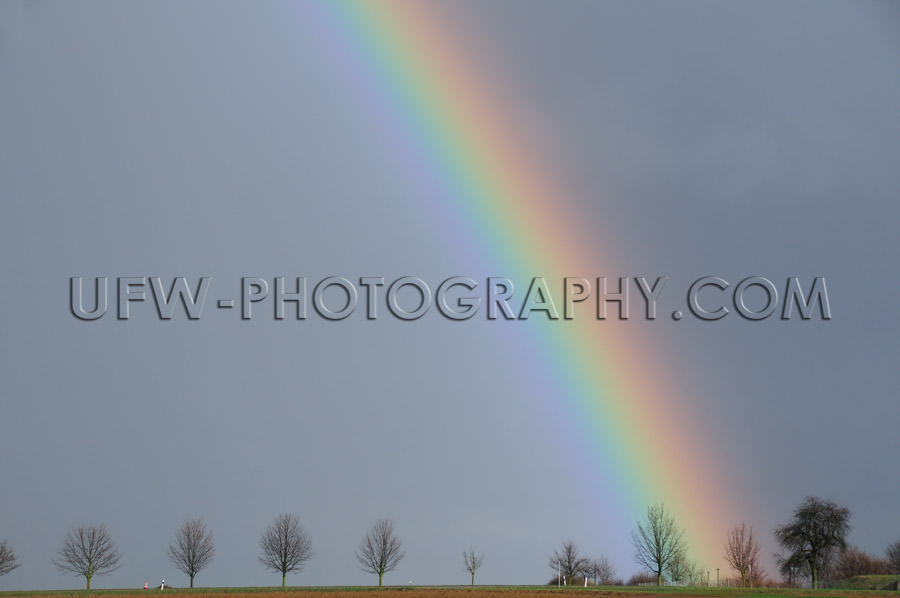 Rainbow against dark gray rainy sky vivid color trees Stock Imag