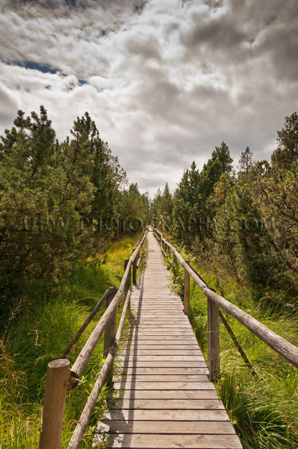 Wooden walkway in a nature reserve under cloudy sky Stock Image
