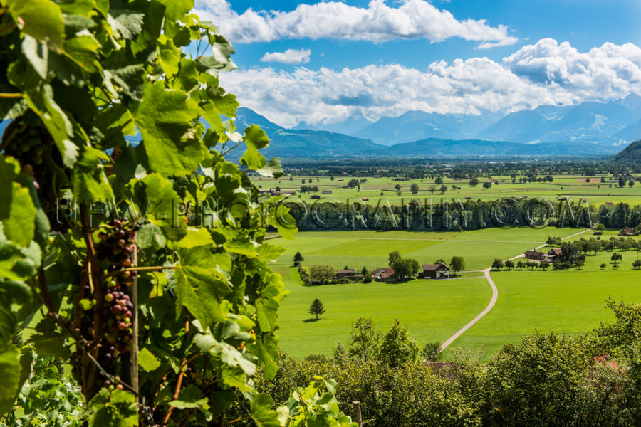 Landscape valley beautiful mountain grapevine pastures blue Stoc