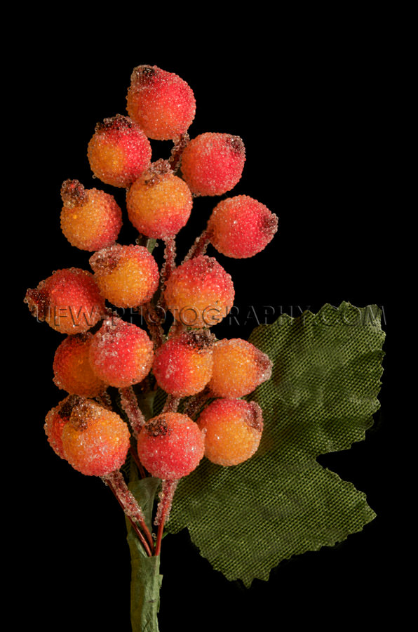 Christmas decoration frosted red orange berries green leaves, bl