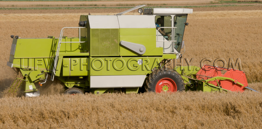 Combine harvester reaping machine working field agriculture Stoc