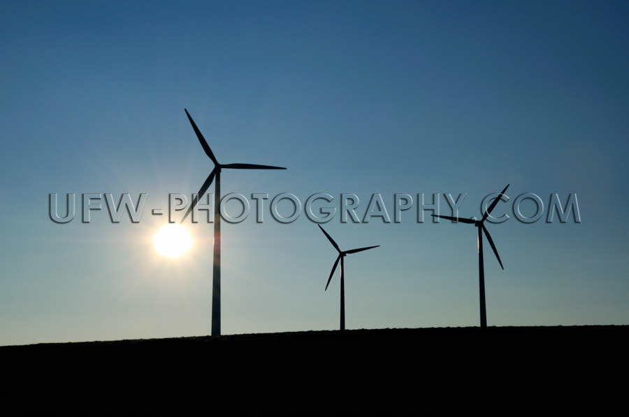 Three Wind turbine silhouettes, sun, dark blue sky, copy space -