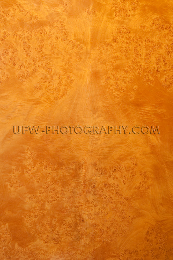 Vivid wood texture beautiful furniture burl grain background Sto