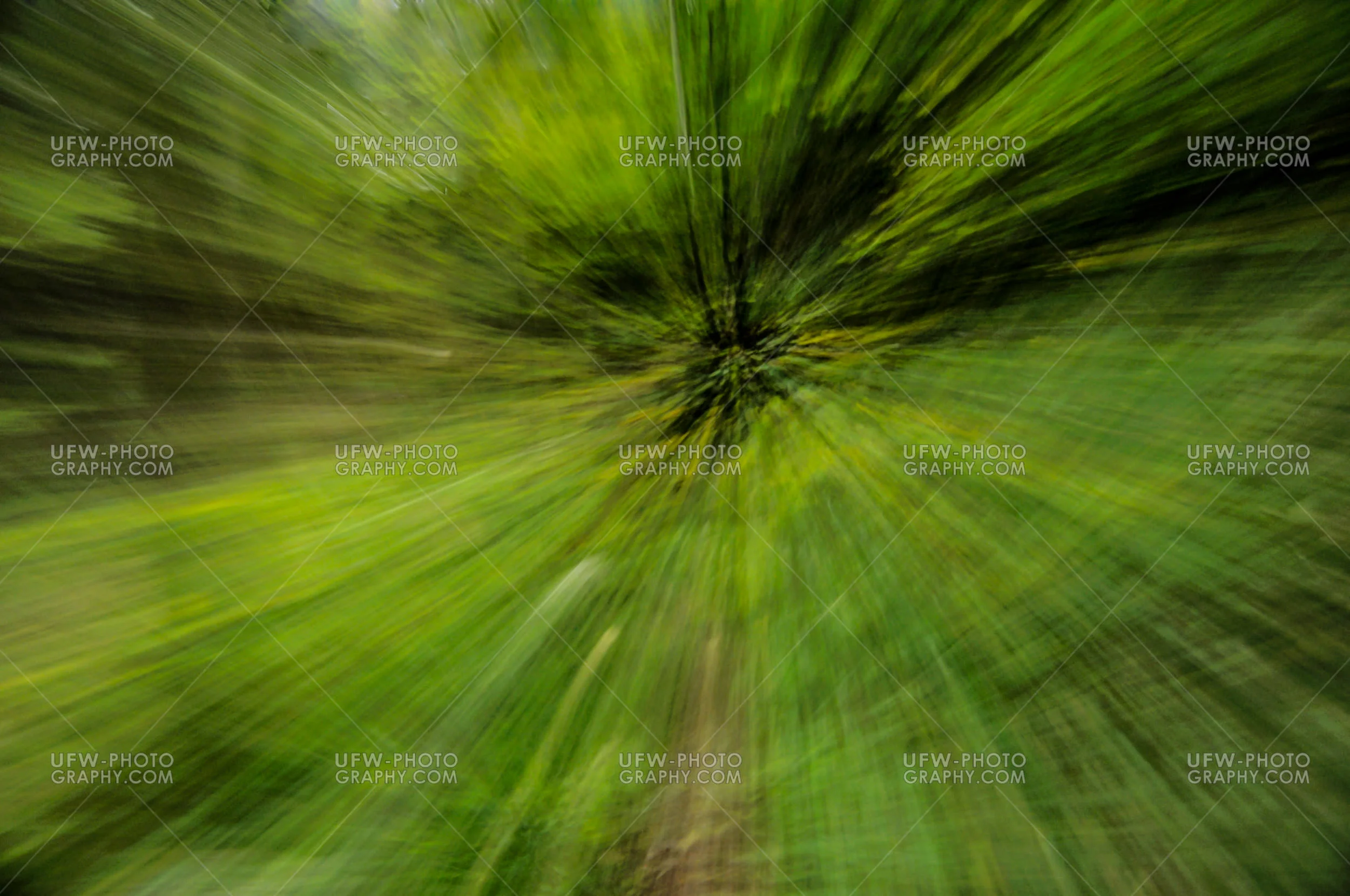 Abstrakt Dynamisch Bewegung Grün