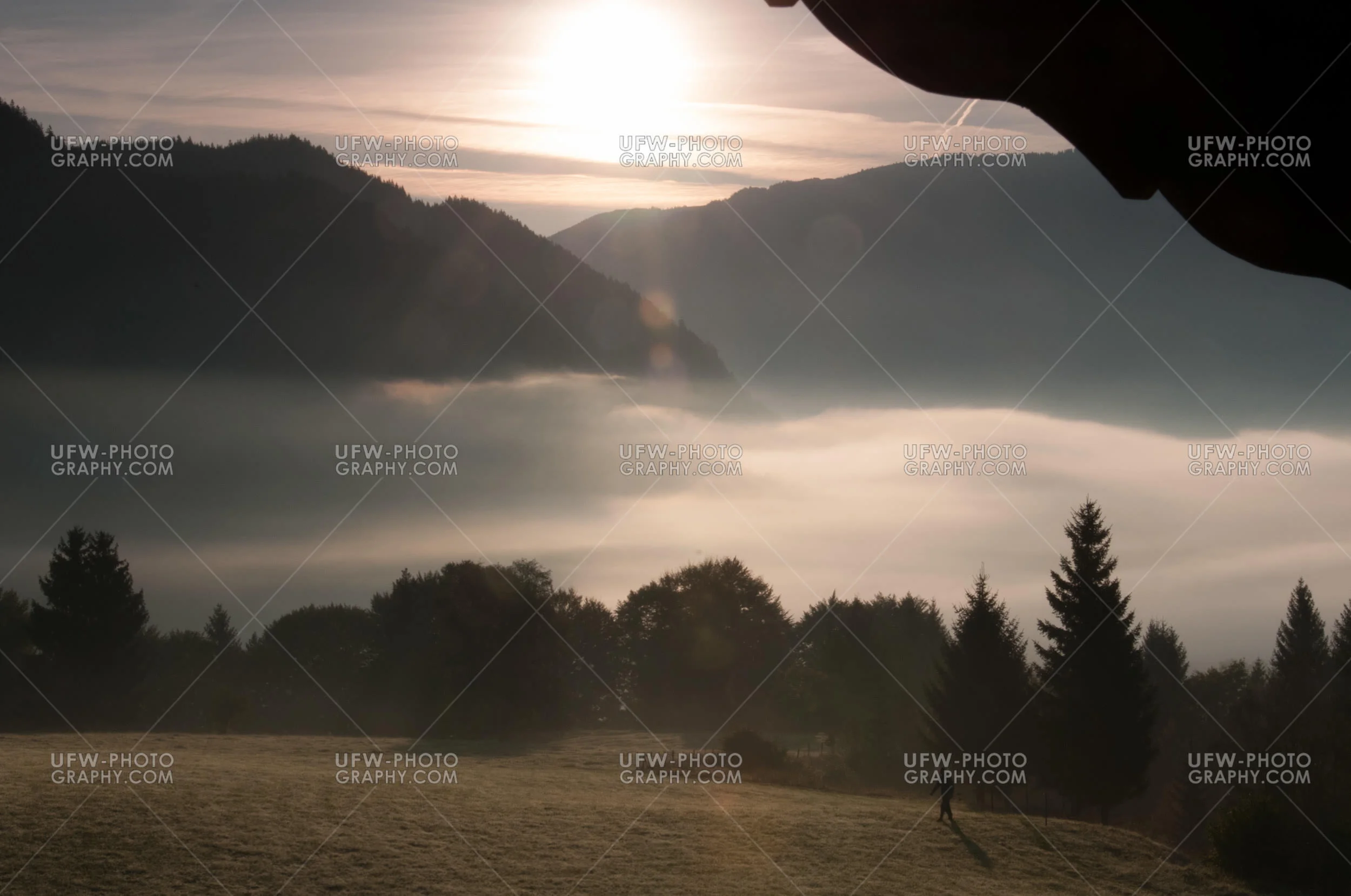Berglandschaft Morgen Nebel Bauer