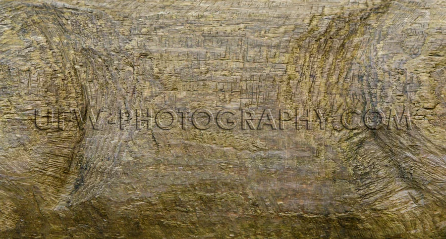 Grob Holz Hintergrund Grunge Beschädigt Verwittert Grau Textur