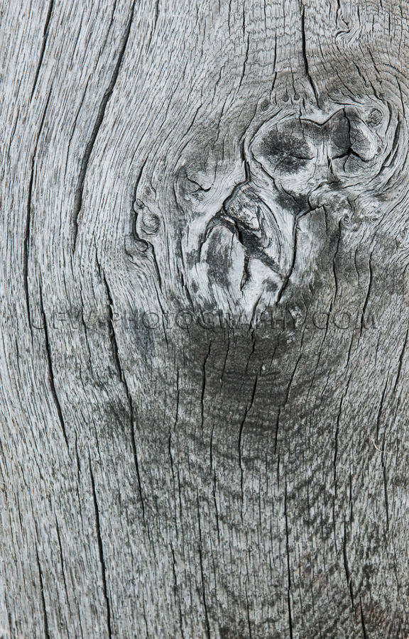 Knorrig Holz Grob Grau Brett Planke Grunge Hintergrund Gesprunge
