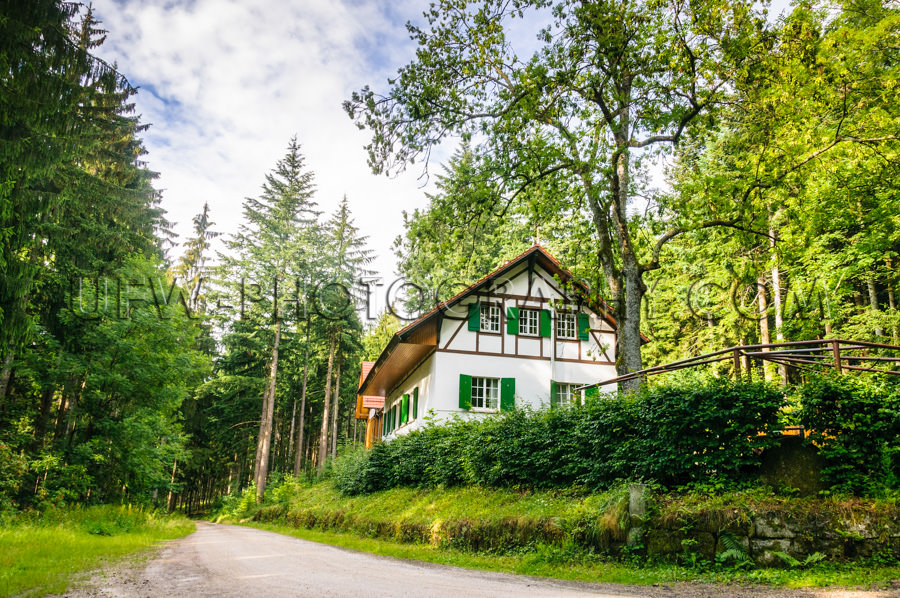 Abgelegenes Ferienhaus Renoviert Waldweg Bäume Himmel Stock Fot
