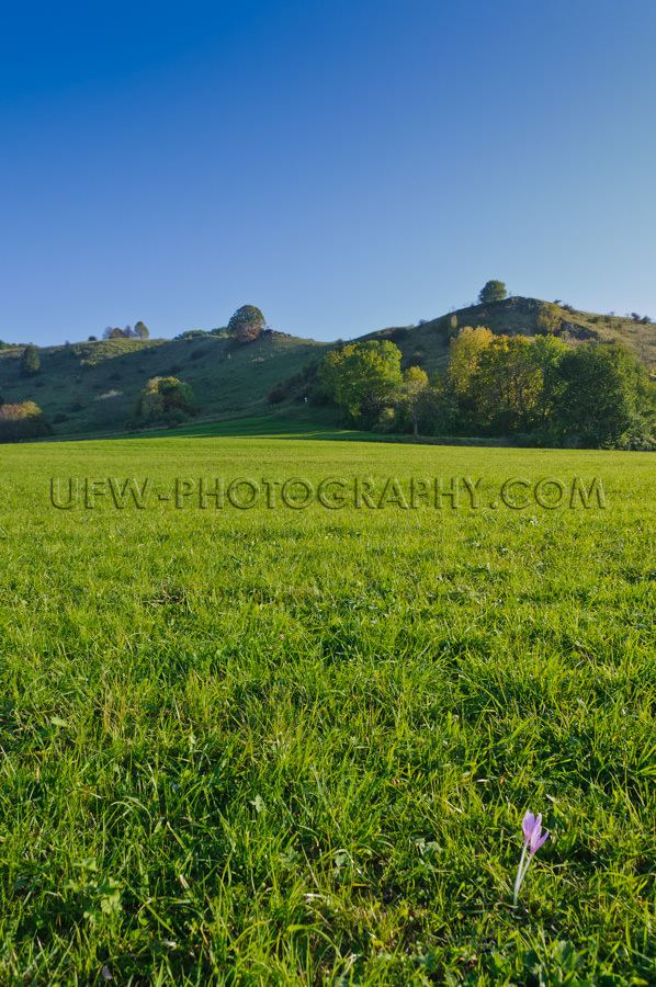 Hügelige Landschaft Im Herbst Vor Blauem Himmel Stock Foto