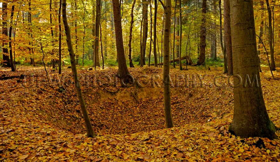 Krater friedlicher Herbstwald Buntes Laub Blätter Baum Stock Fo
