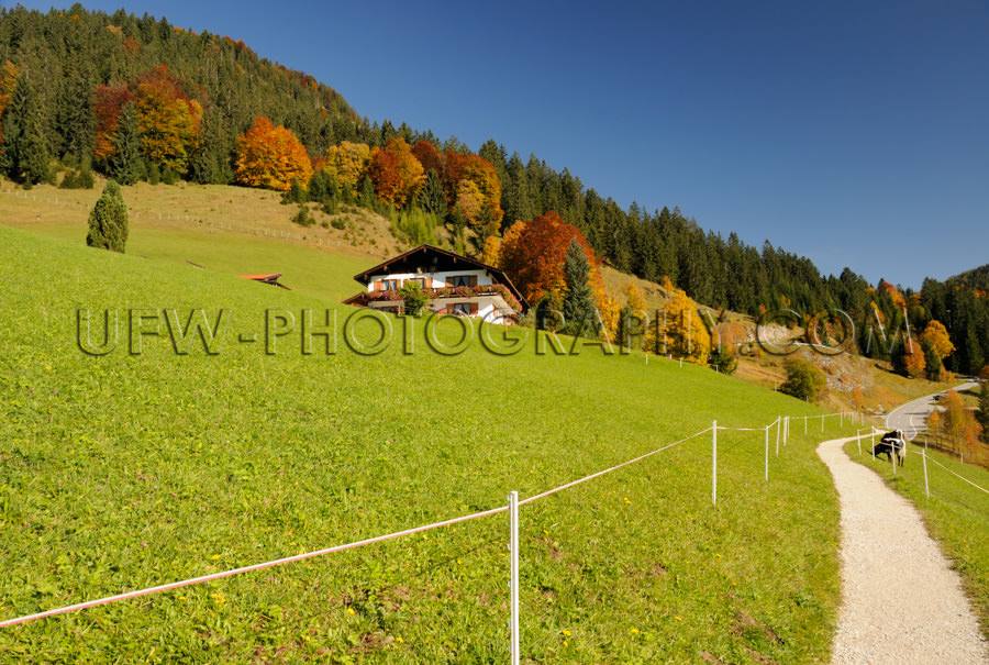 Sonniger Wanderweg Herbst Berglandschaft Alm Weide Wiese Bauernh