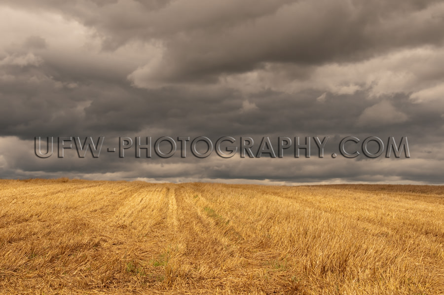 Herbstlich Goldenes Stoppelfeld Dunkel Stürmischer Himmel Stock