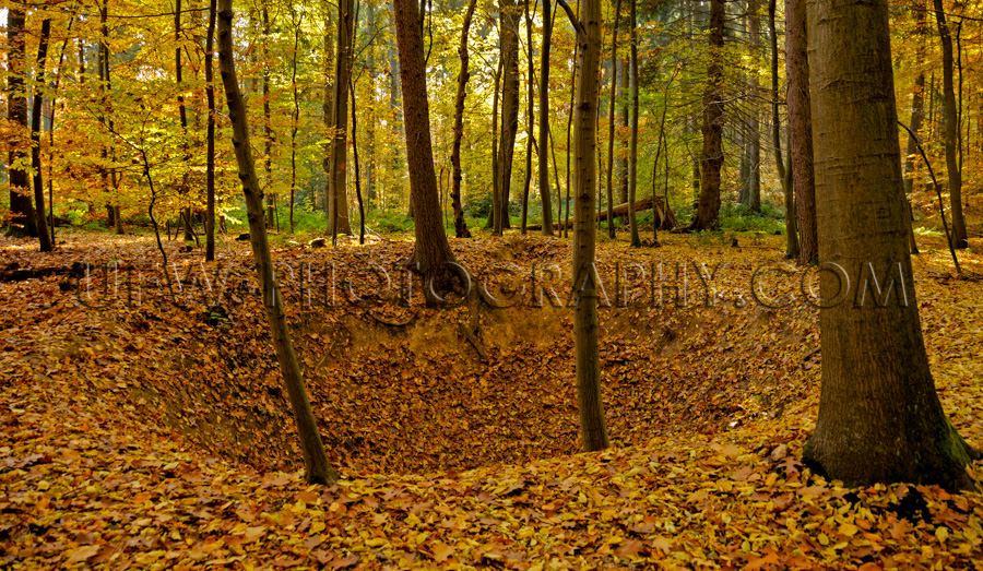 Krater friedlicher Herbstwald Buntes Laub Blätter Baum Stock Fo