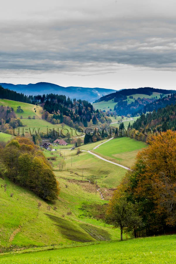Wunderschön Wald Tal Landschaft Bäume Wiesen Herbst Hügel Ber