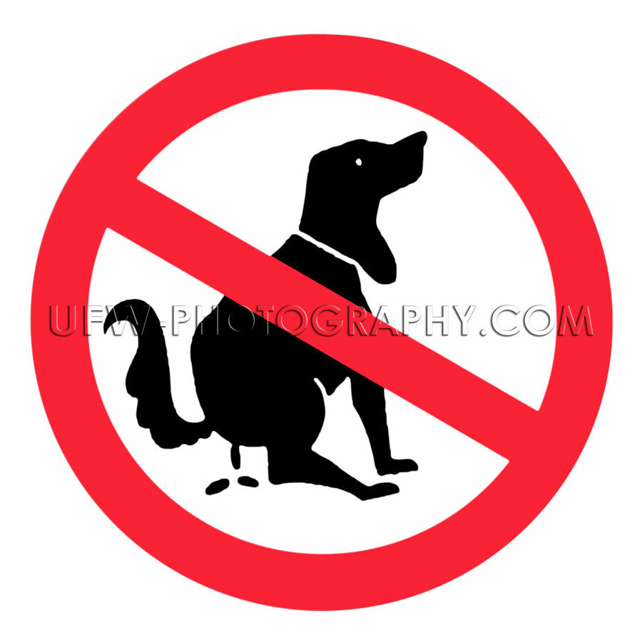 Hier kein Hundeklo Verbotszeichen Isoliert Auf Weiß Stock Foto