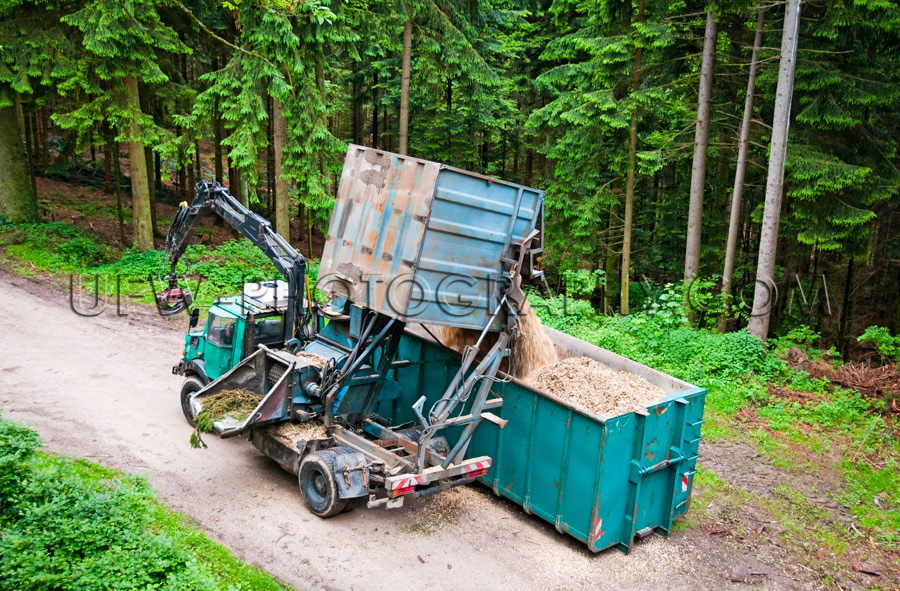 Baum Mobilhacker Holzhäcksler Lkw Holzchips Kipper Forstwirtsch