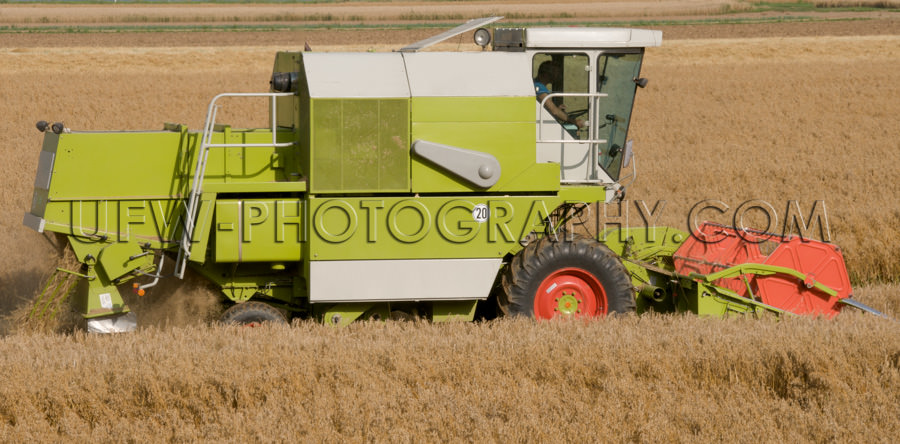 Mähdrescher Erntemaschine Arbeiten Feld Landwirtschaft Stock Fo