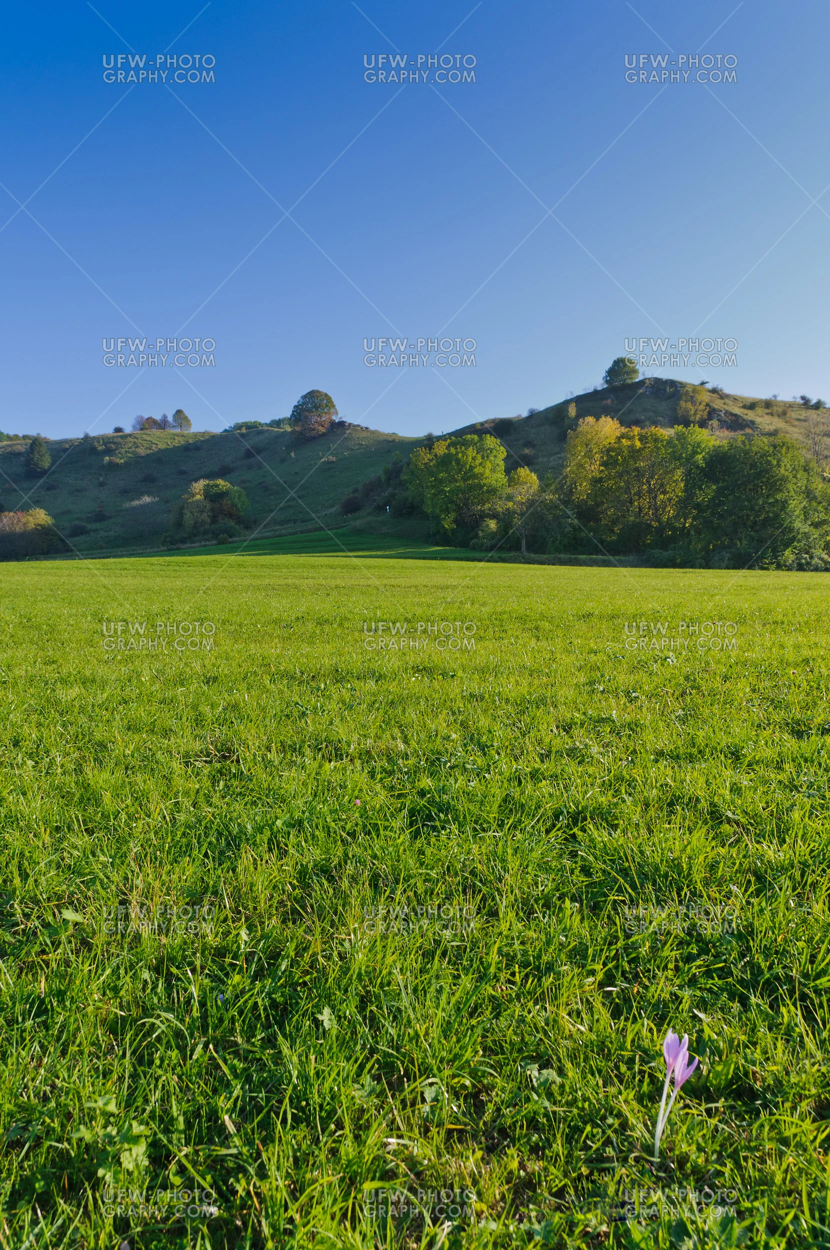 Hügelige Landschaft Im Herbst Vor Blauem Himmel Stock Foto