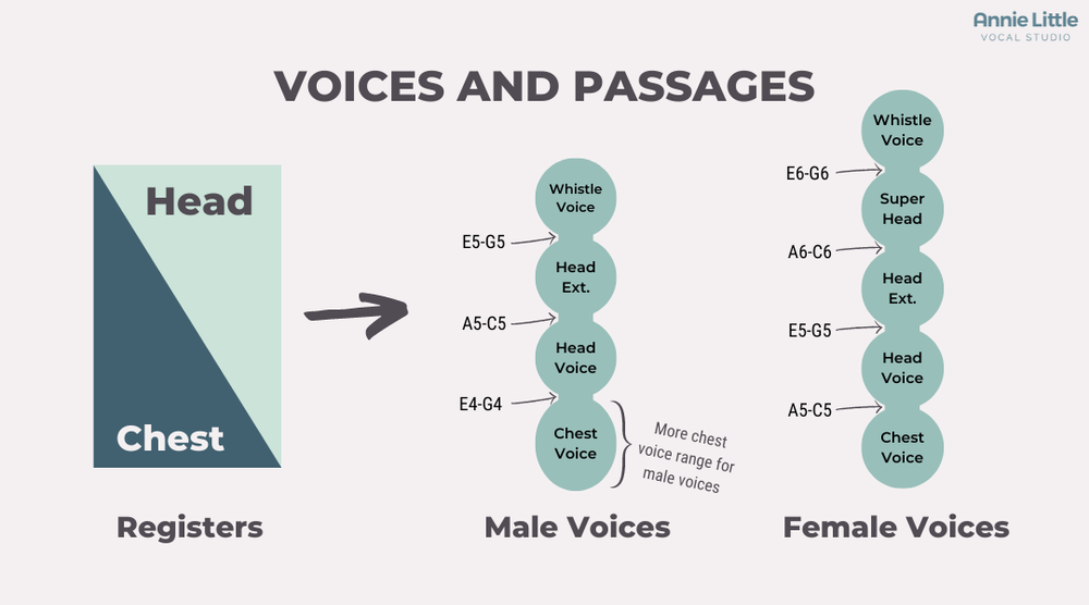 Vocal Registers Explained Simply — Annie Little