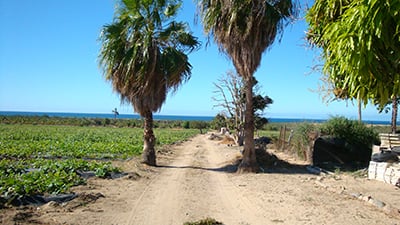 Rancho Playitas