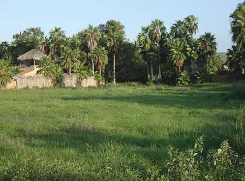 02.LaCachoraNorthLots.photo.jpg