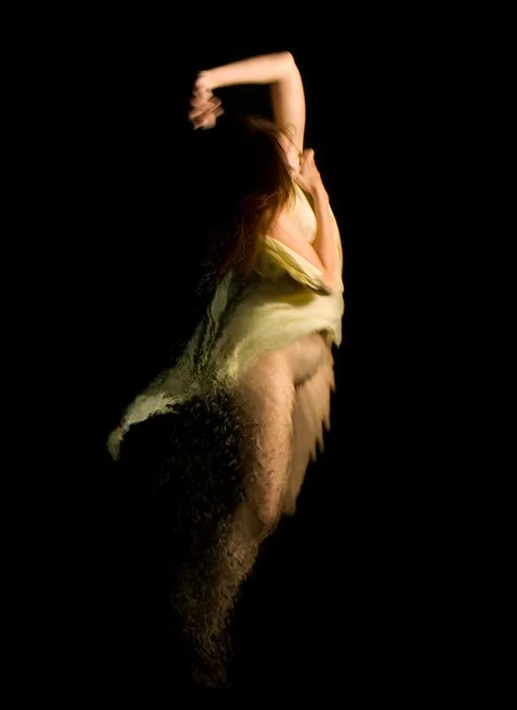 "Biava" 2009