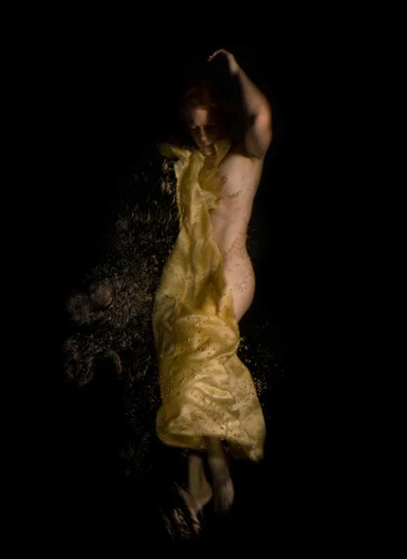 "Silacea" 2009