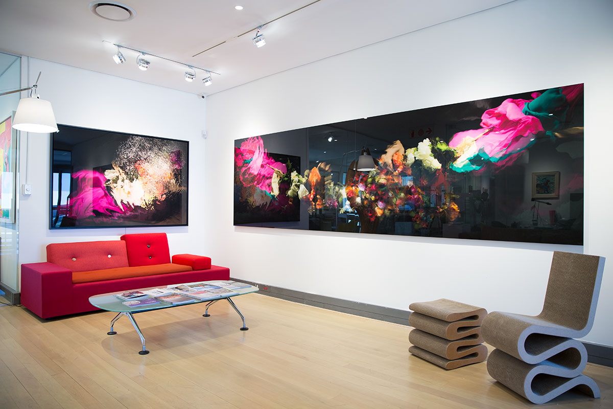 Graham's Fine Art Gallery Exhibition | South Africa
