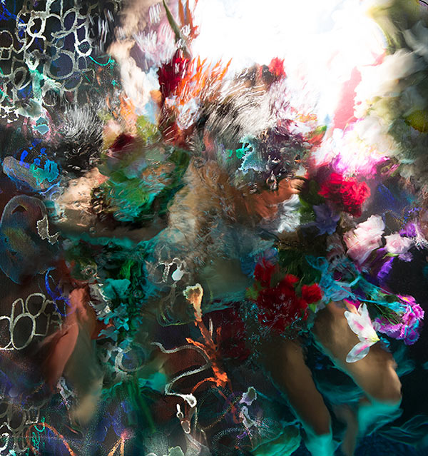 "Botanic Burst" 2017