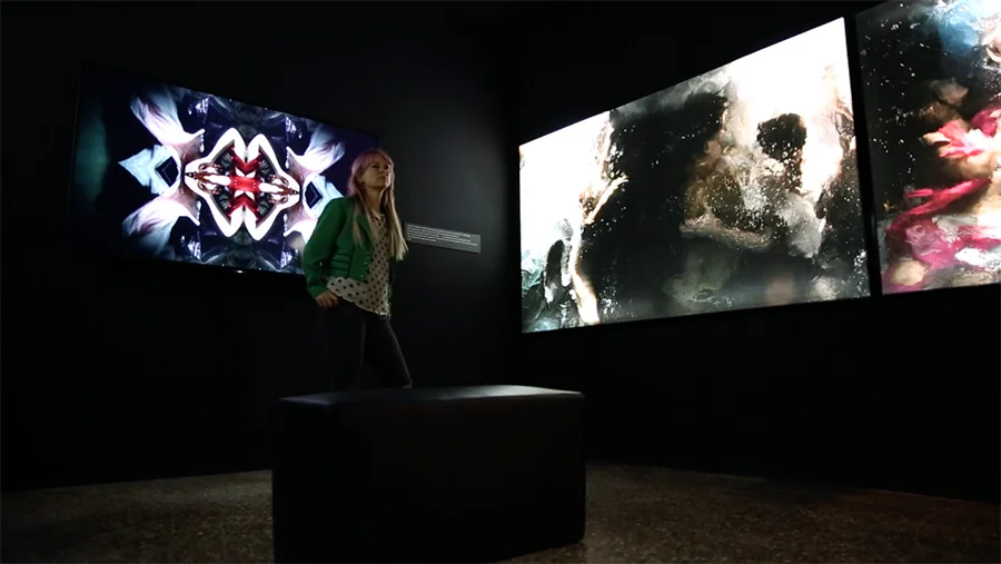 Installation during the 2017 Venice Biennale