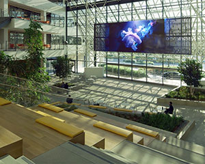 Standard Vision instals Rogers’ Muses video installation at One Culver in LA, CA