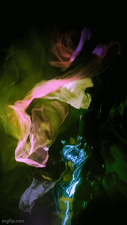 Bloom | Christy Lee Rogers | Video Installation Sample