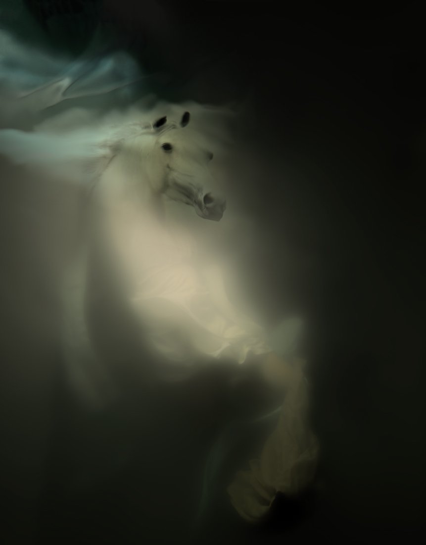 Chariot of the Night | Christy Lee Rogers | Myths and Legends Collection