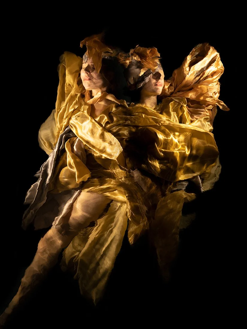 The Twins | Christy Lee Rogers | Myths and Legends Collection