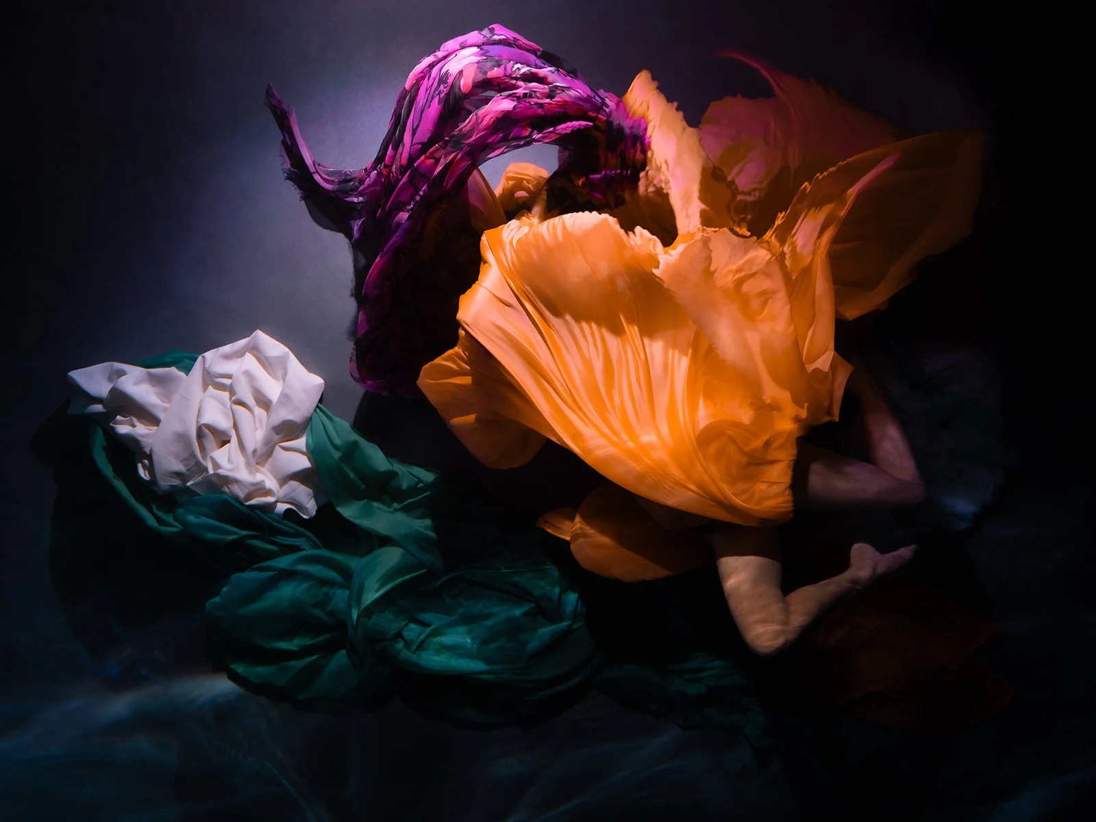 Venus and the Ocean's Embrace | Christy Lee Rogers | Myths and Legends Collection