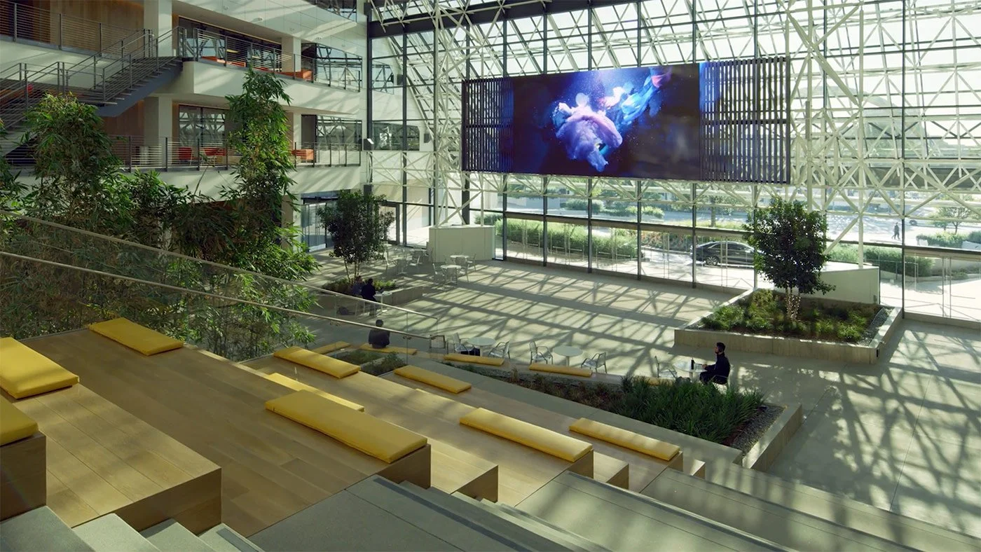 Standard Vision Los Angeles Video Installation | Christy Lee Rogers