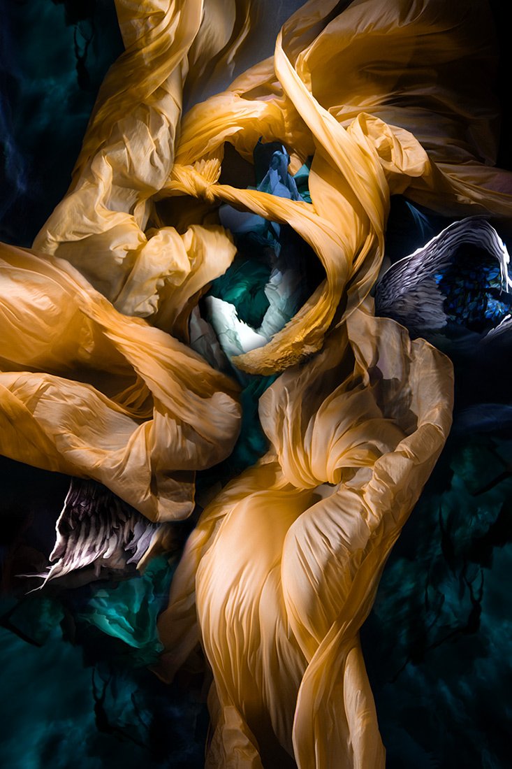 Christy Lee Rogers Ring of Legends artwork from Myths and Legends Collection