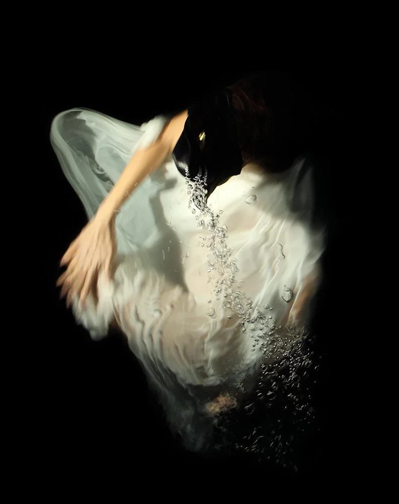 CHRISTY LEE ROGERS’ “PANTHERA ONCA” IS INSPIRATION FOR LONDON DESIGNER LABEL palmer//harding