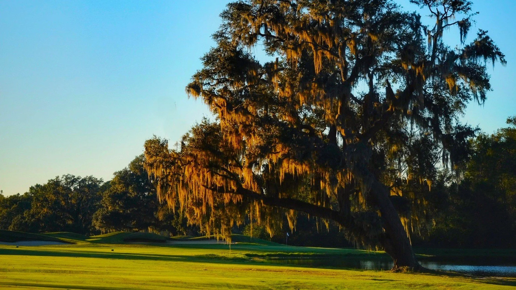 18 fairway filtered.jpg