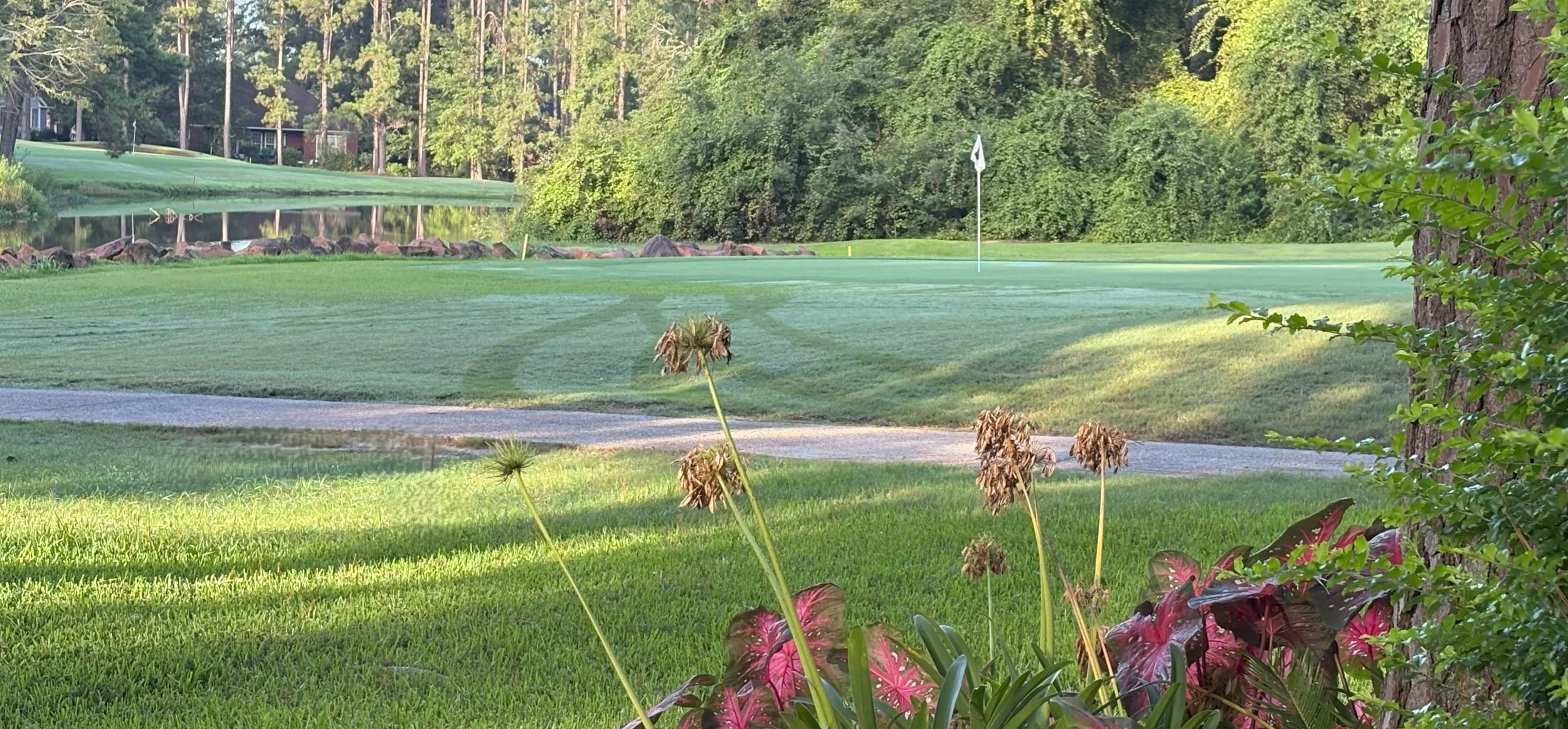 Hole 8 Wide 2.jpg
