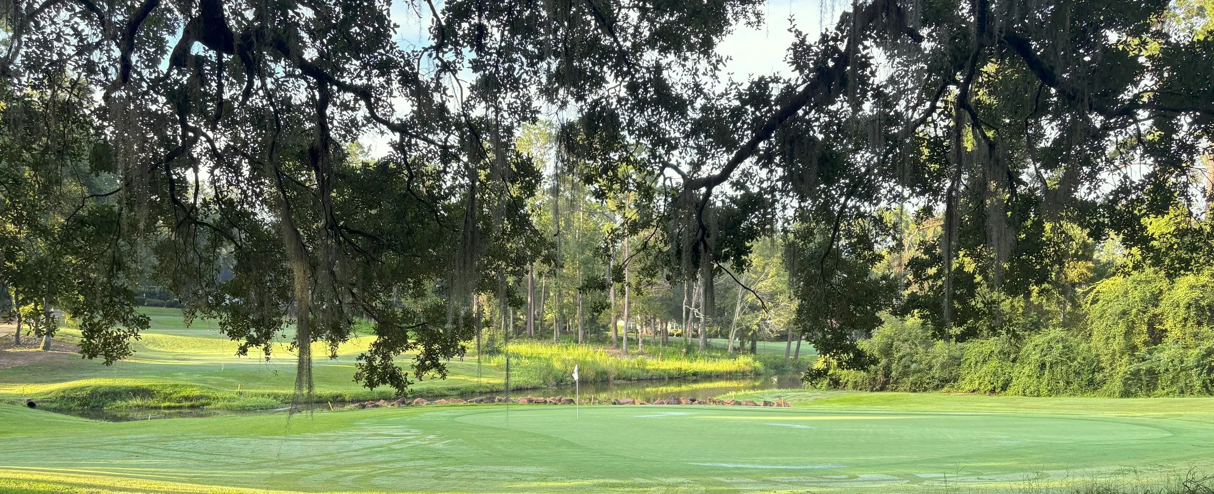 Hole 8 Wide.jpg