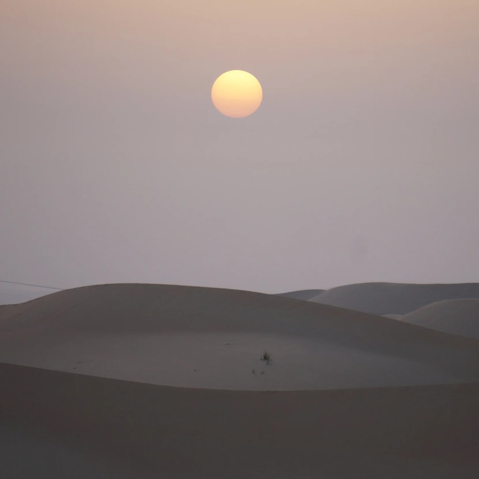 ARABIAN NIGHTS