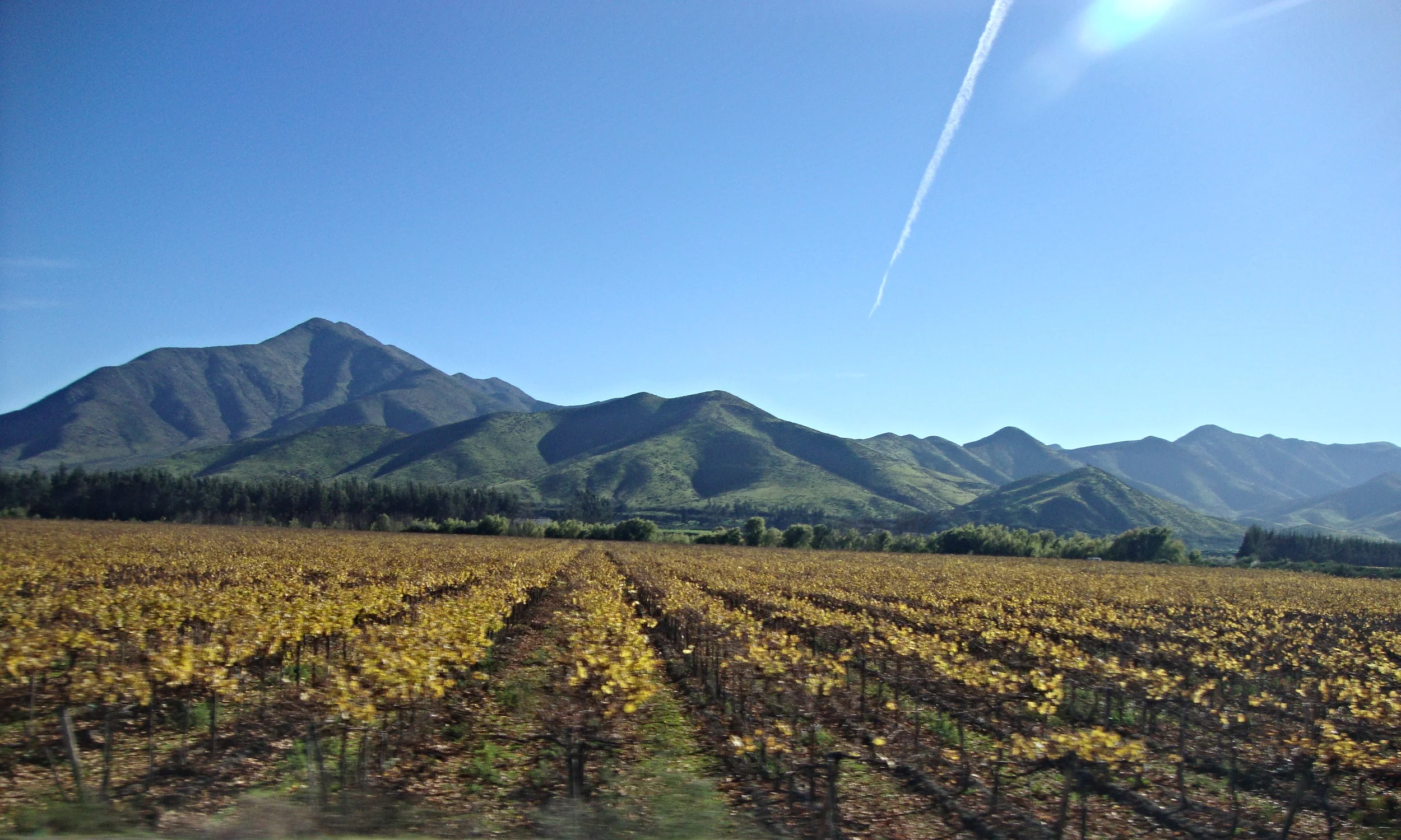  Scenes from Chile 