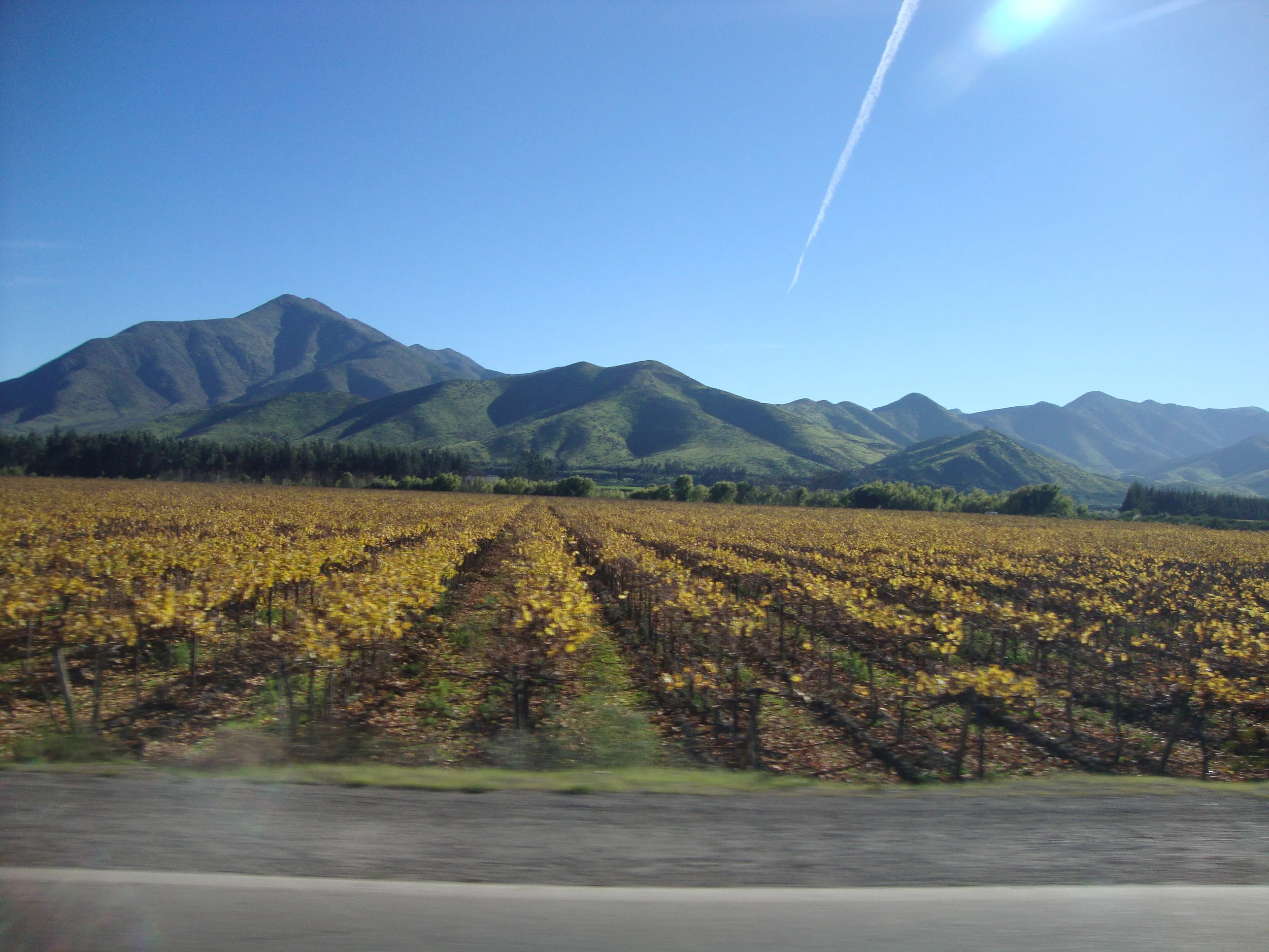 VINO NAVEGADO