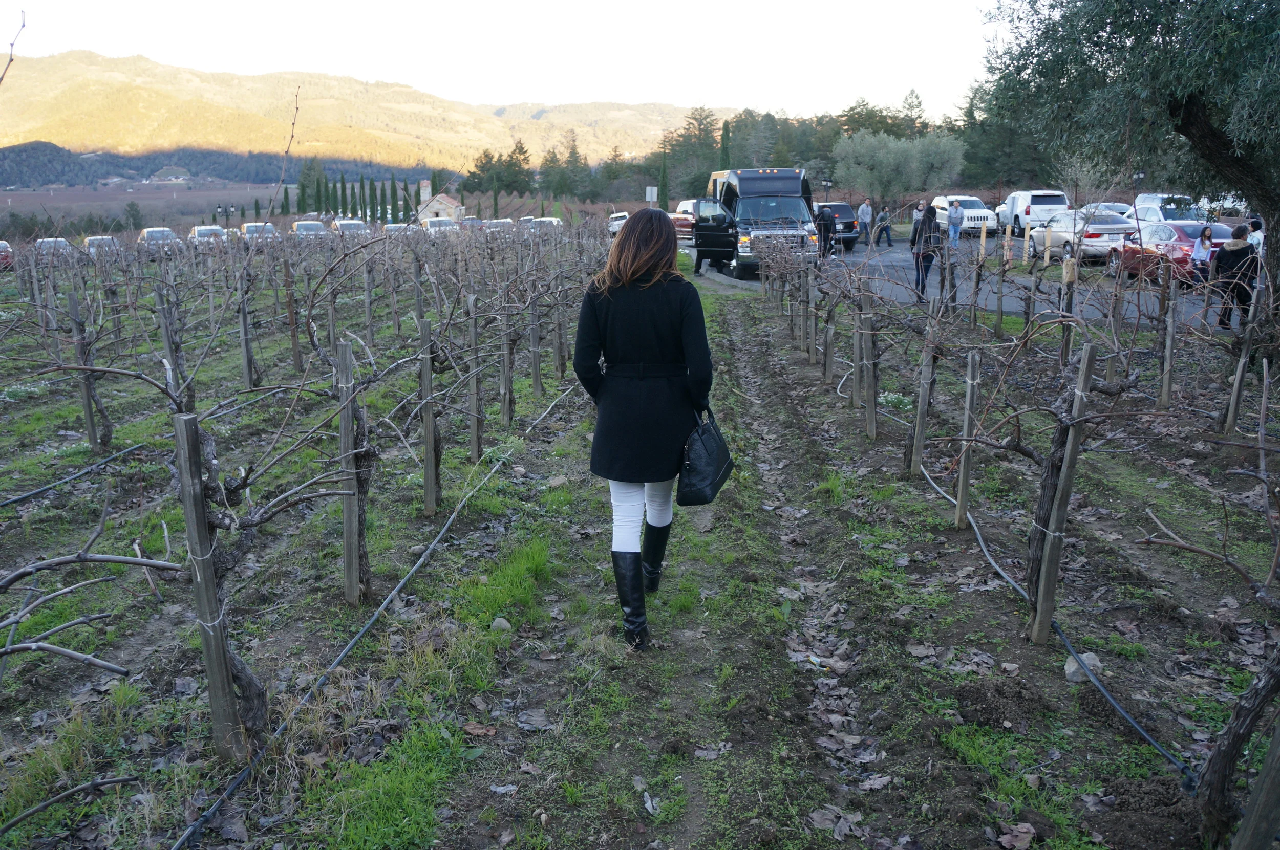 OUR NAPA VALLEY FAVORITES