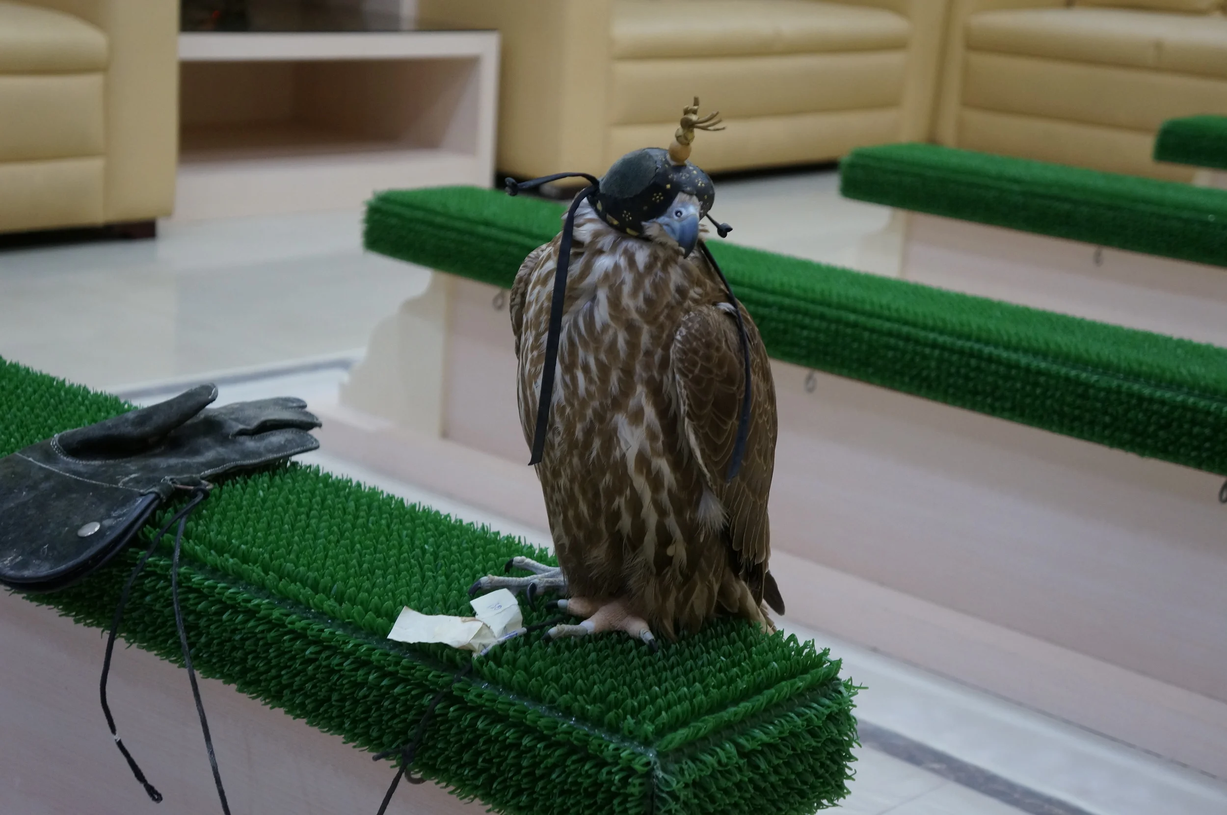ABU DHABI FALCON HOSPITAL